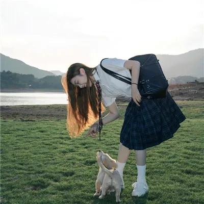 公猫